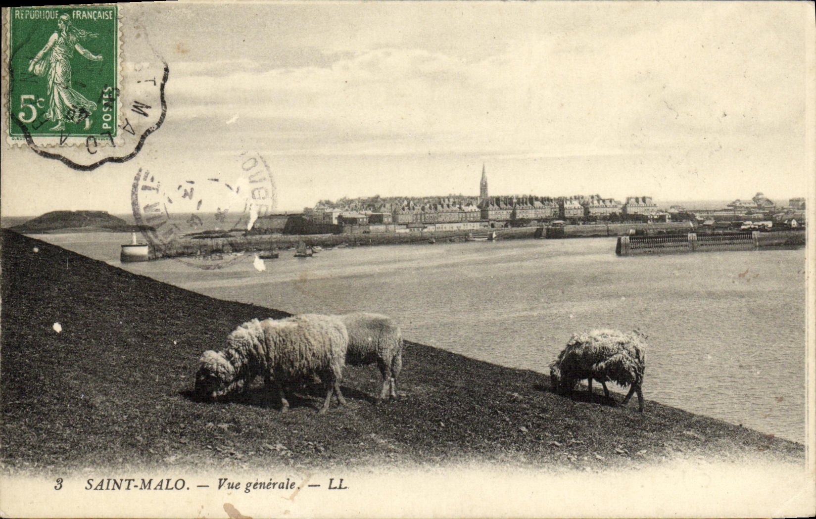 CPA Saint Malo Vue generale Moutons