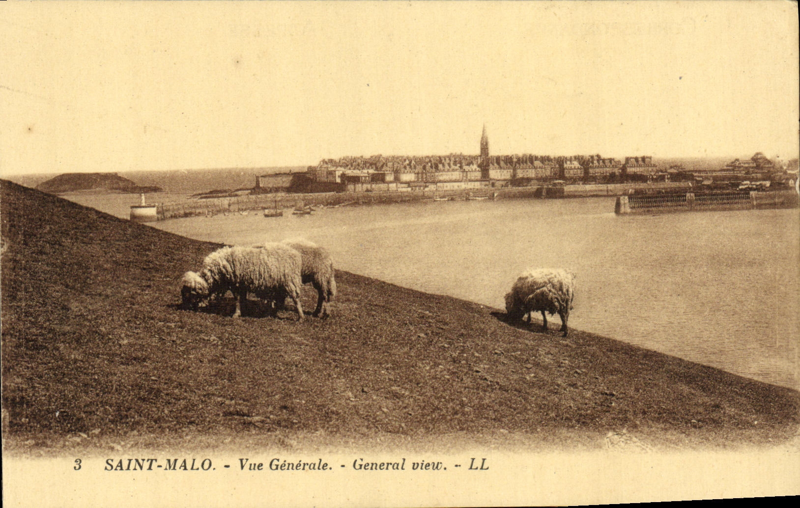 CPA Saint Malo Vue Generale Moutons