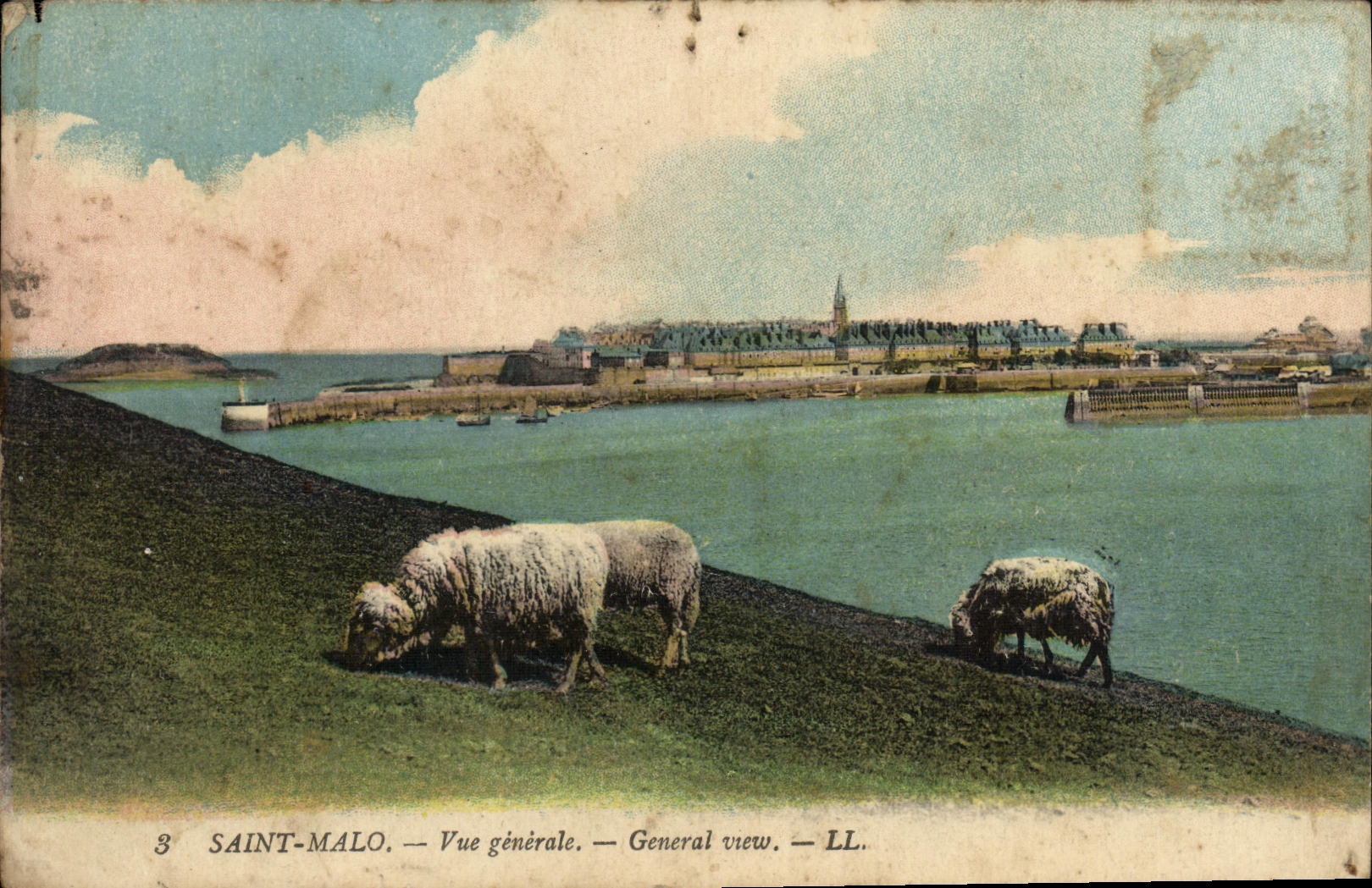 CPA Saint Malo Vue Generale Moutons 
