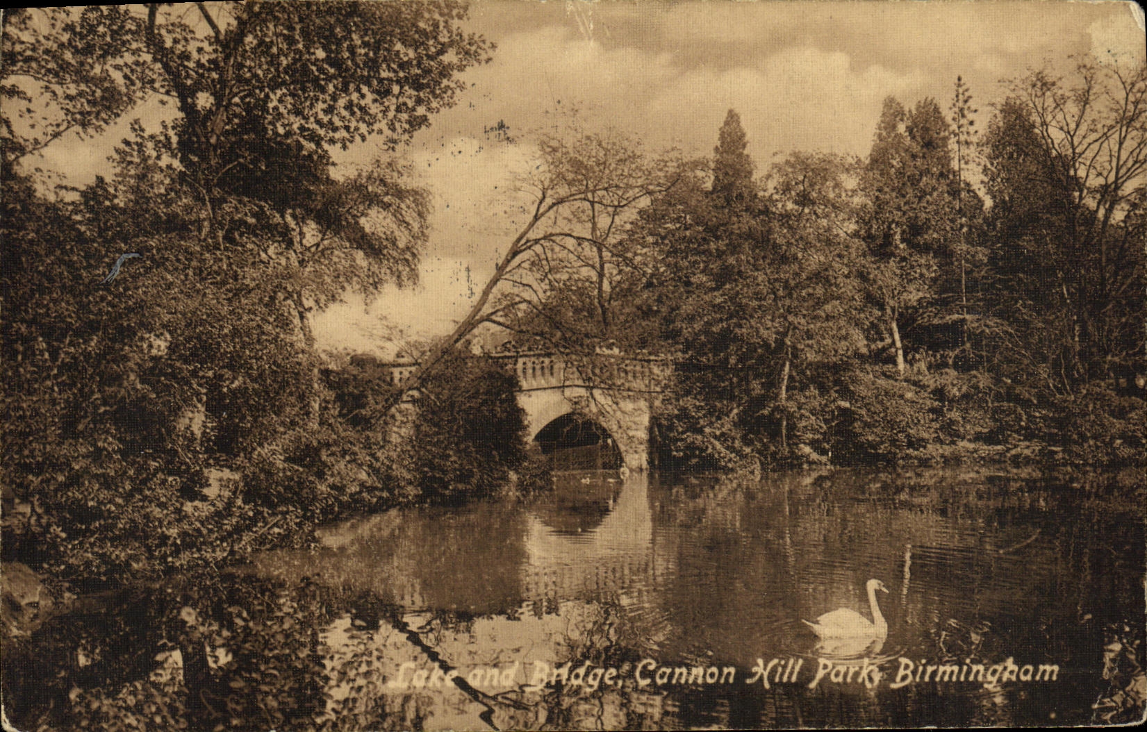 VINTAGE POSTCARD Lake and Bridge Cananon Hill Park Birmingham Swan