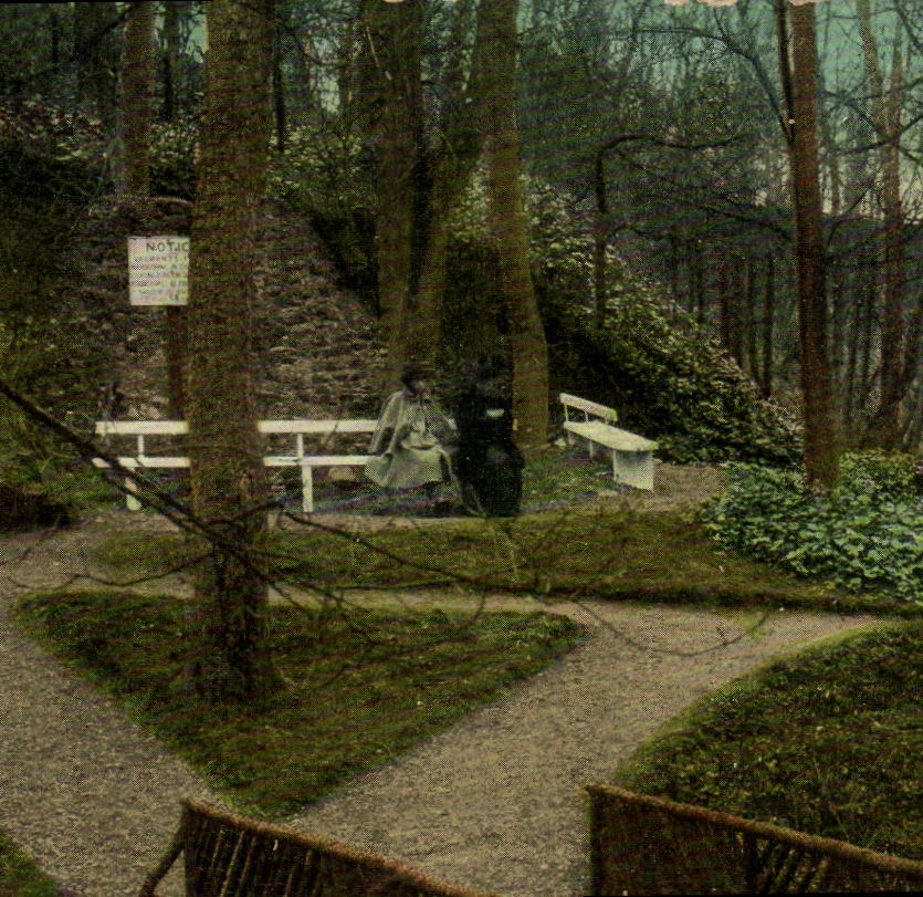 VINTAGE POSTCARD Ladies walk North Berwick