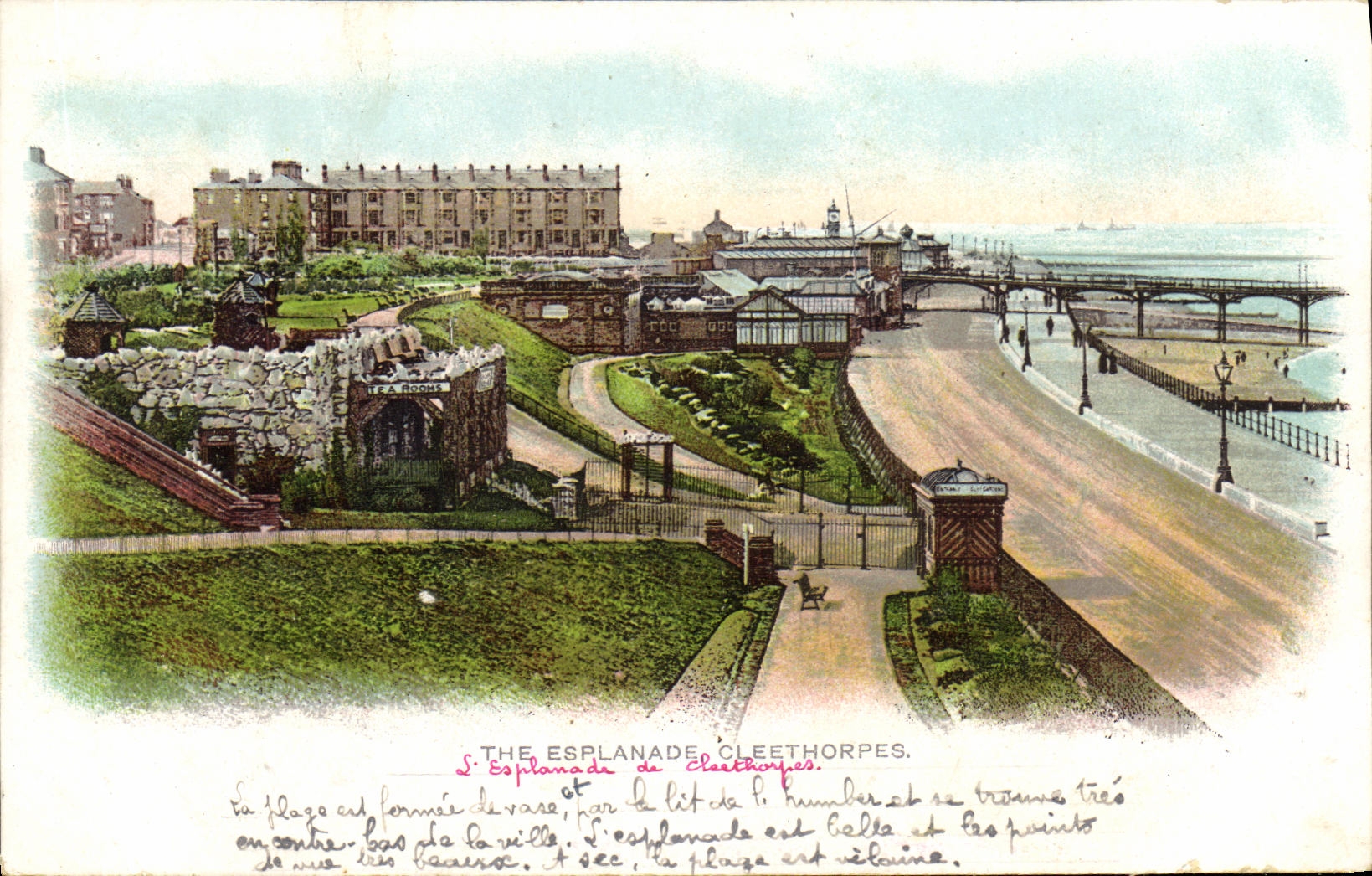 VINTAGE POSTCARD Cleethorprs The Esplanade