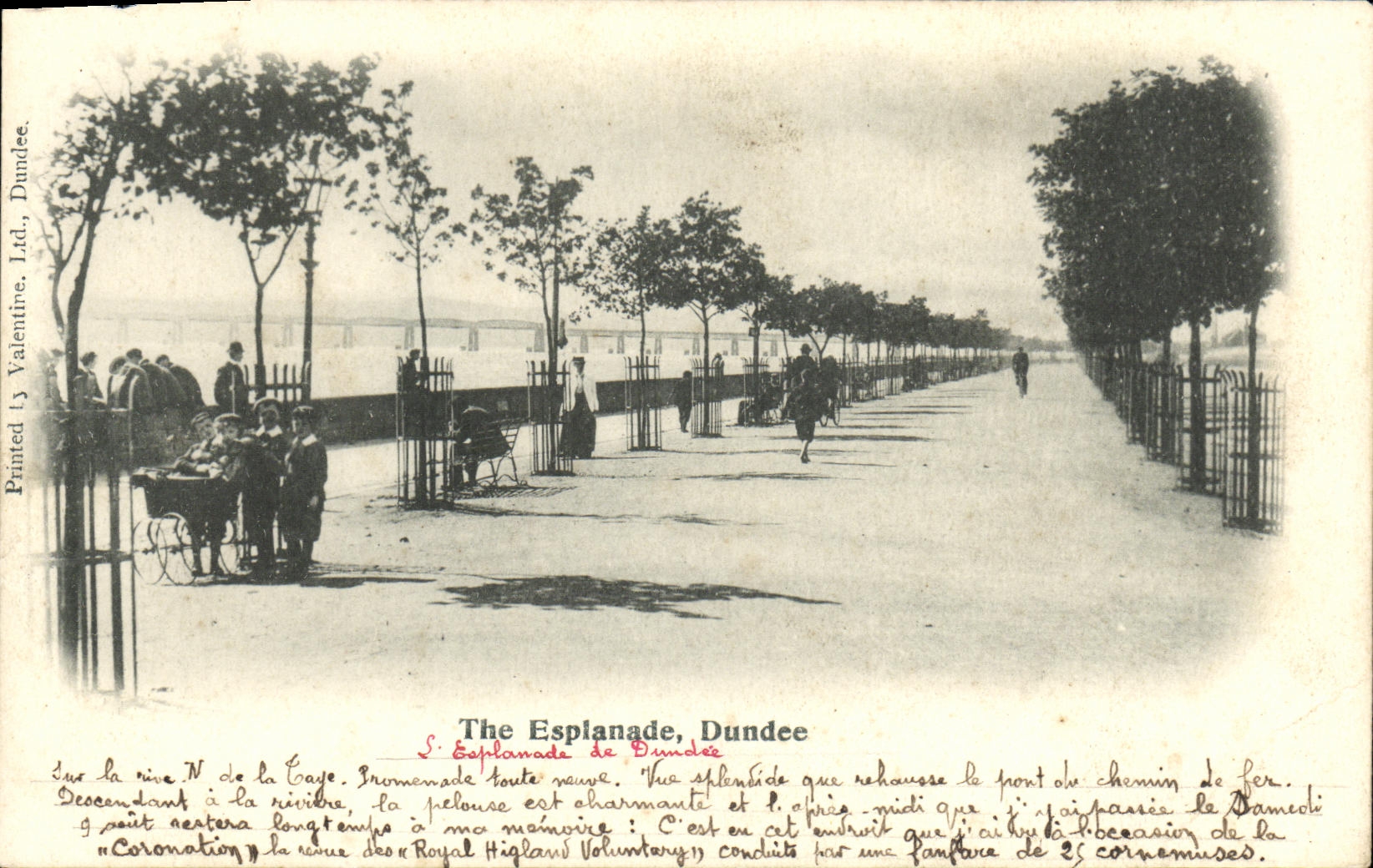 POSTAL Dundee de la VENDIMIA la explanada