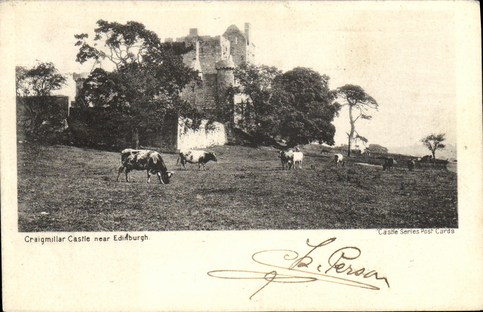 CPA Craigmillar castle near Edinburgh Vaches