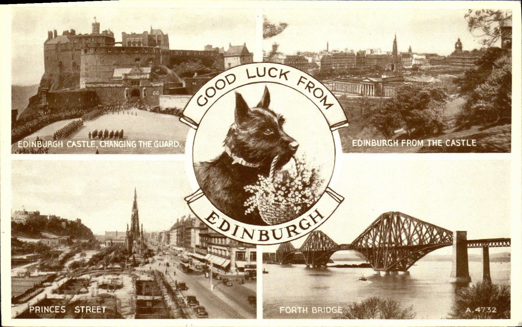 VINTAGE POSTCARD Edinburgh dog