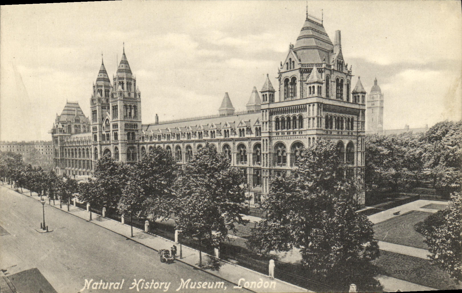 VINTAGE POSTCARD London Natural History Museum