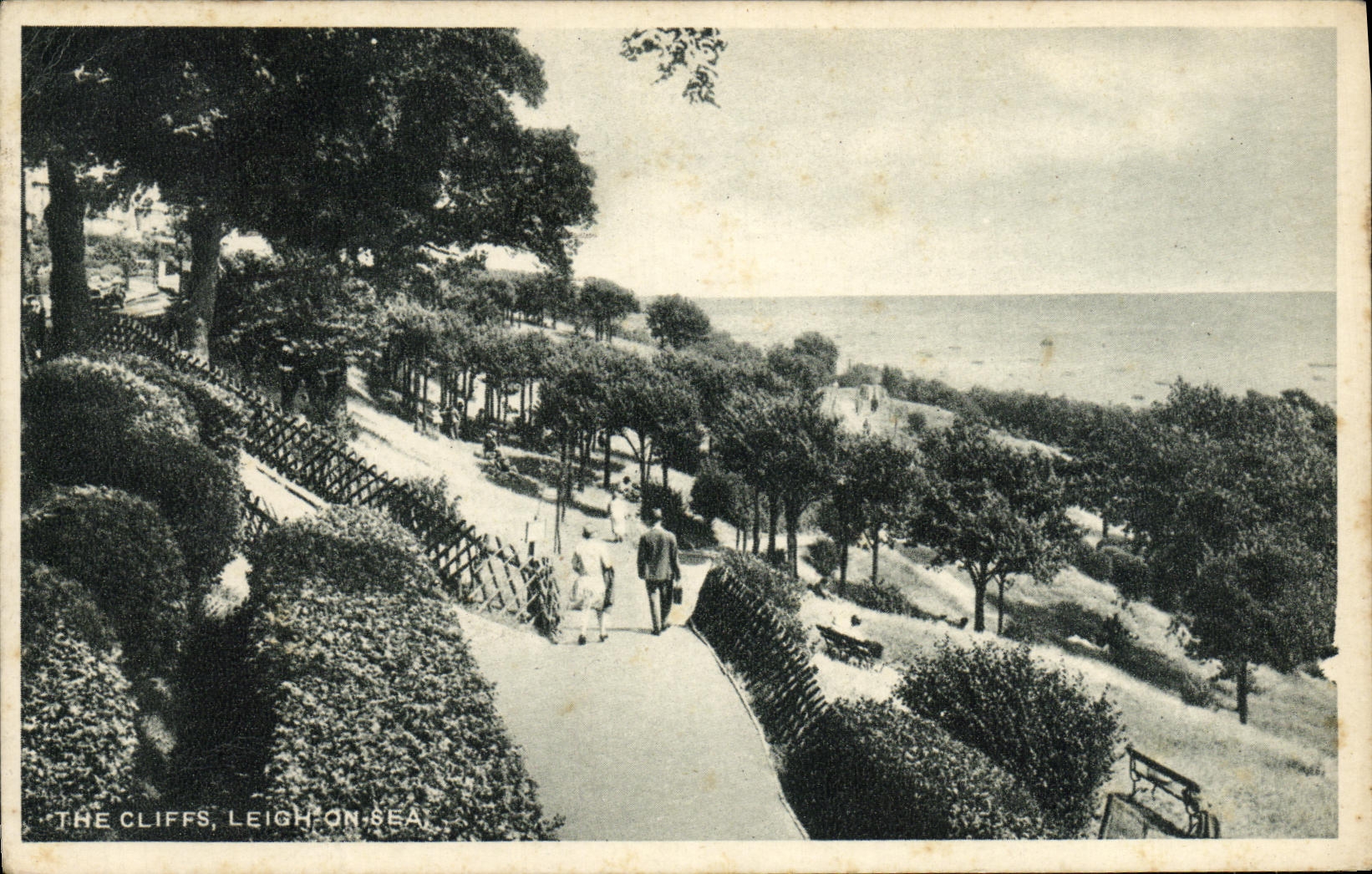 VINTAGE POSTCARD The cliffs Leigh one Sea