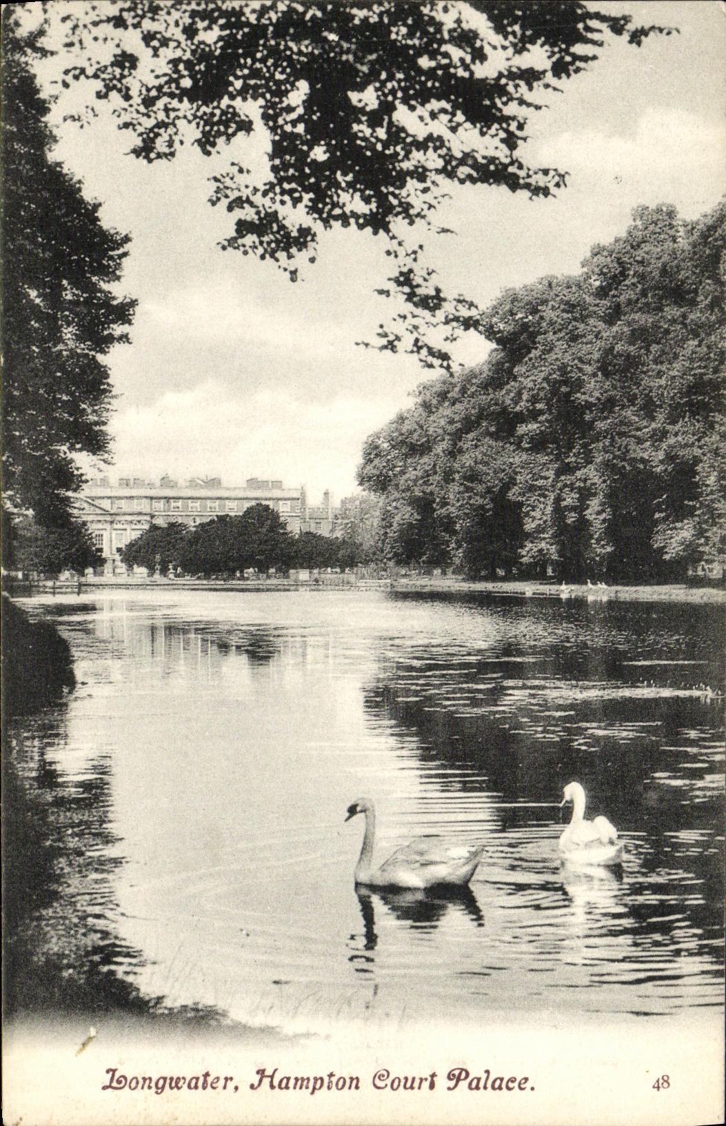 VINTAGE POSTCARD Longwater Hampton Court De luxe hotel Swans