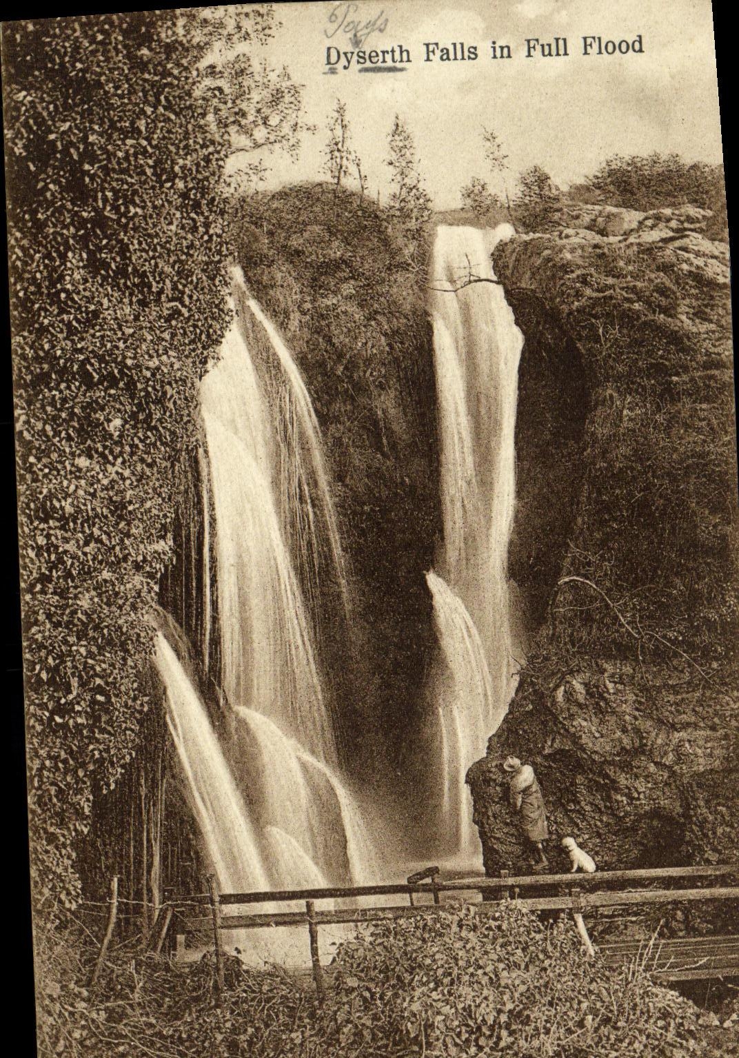VINTAGE POSTCARD Dyserth Falls in Full Flood