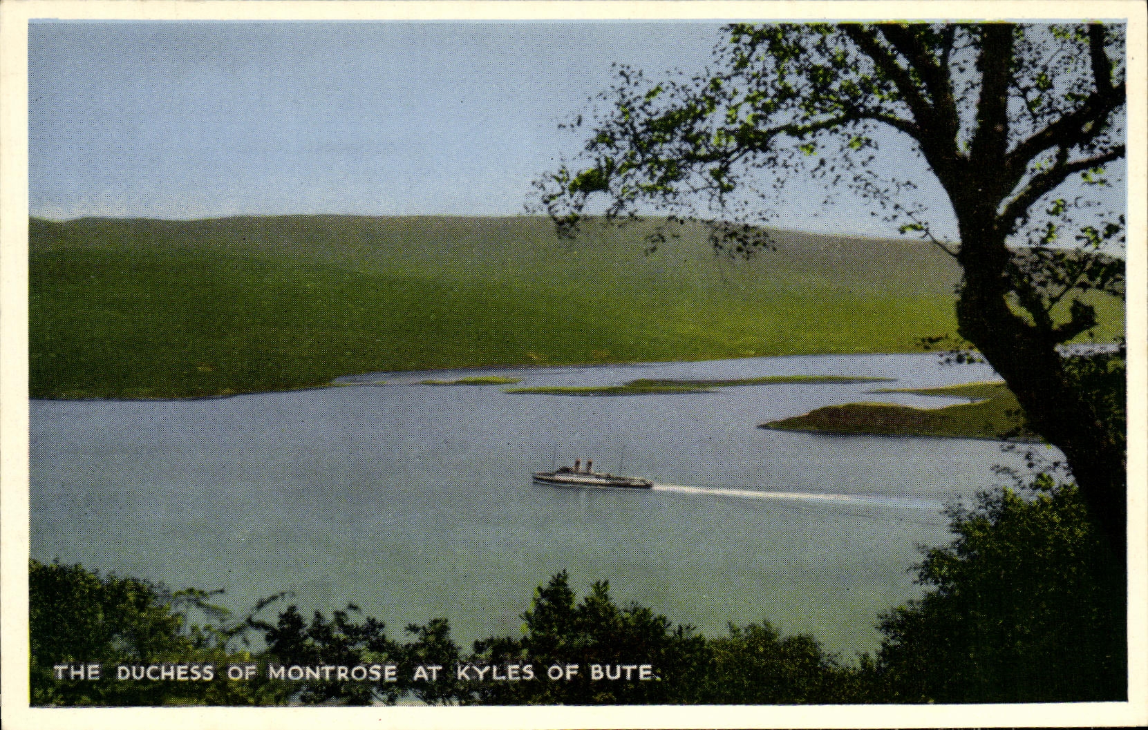 VINTAGE POSTCARD The Duchess Of Montrose At Kyles Of Butts