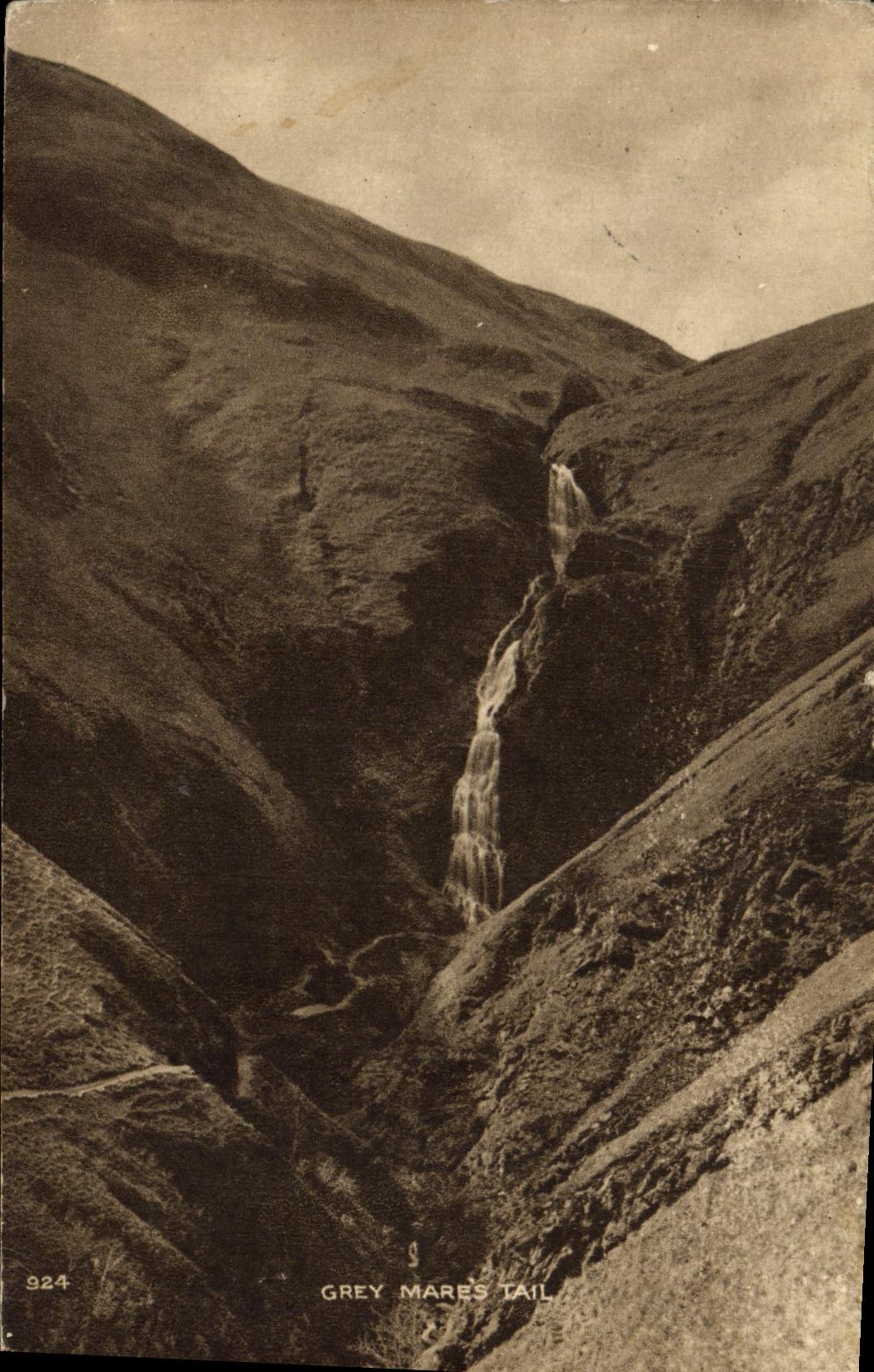 CPA Grey Mares Tail