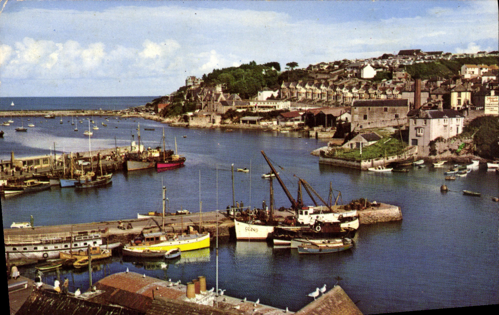 MODERN CARD The Harbor Brixham