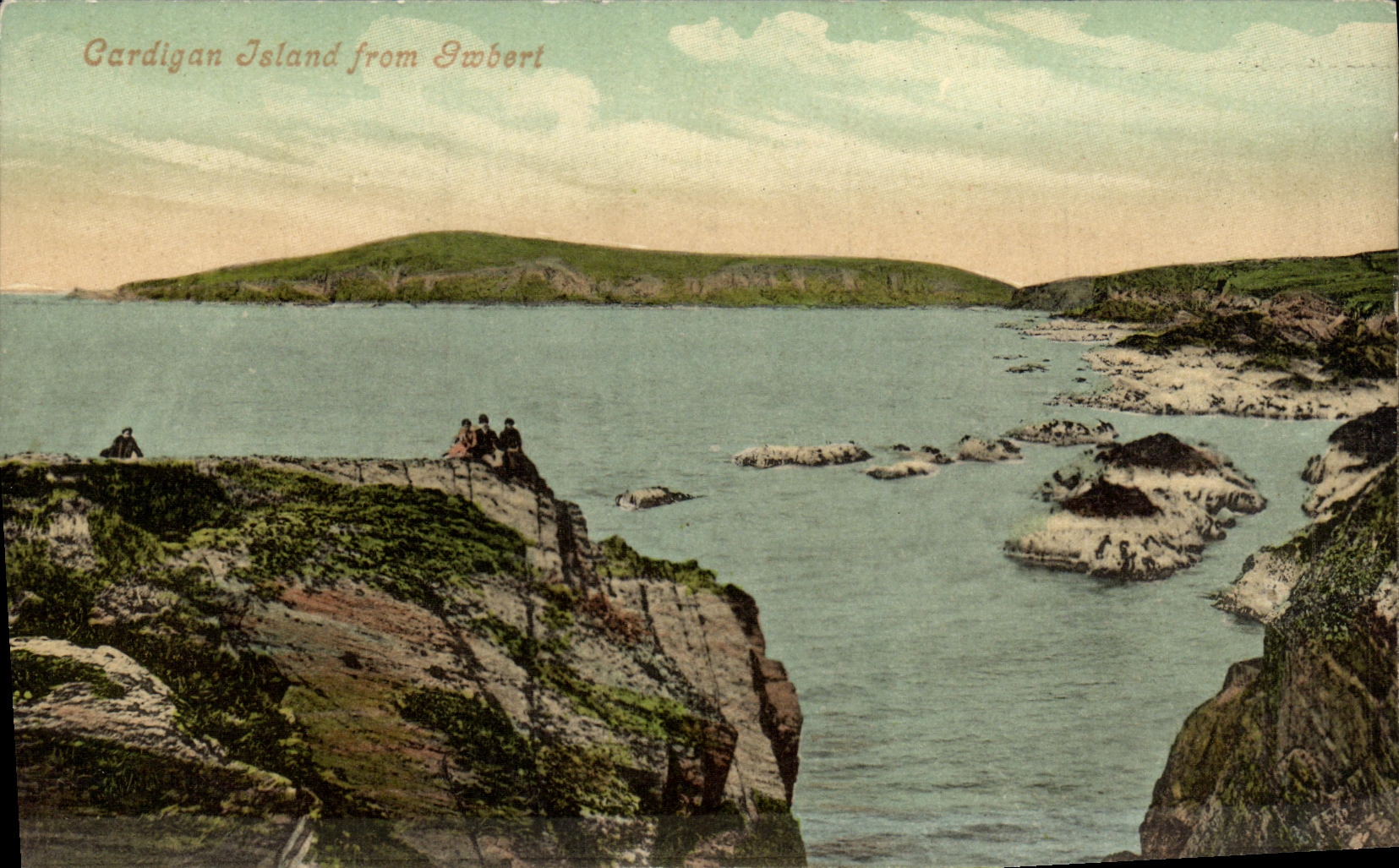 VINTAGE POSTCARD Cardigan Island From Iwbert