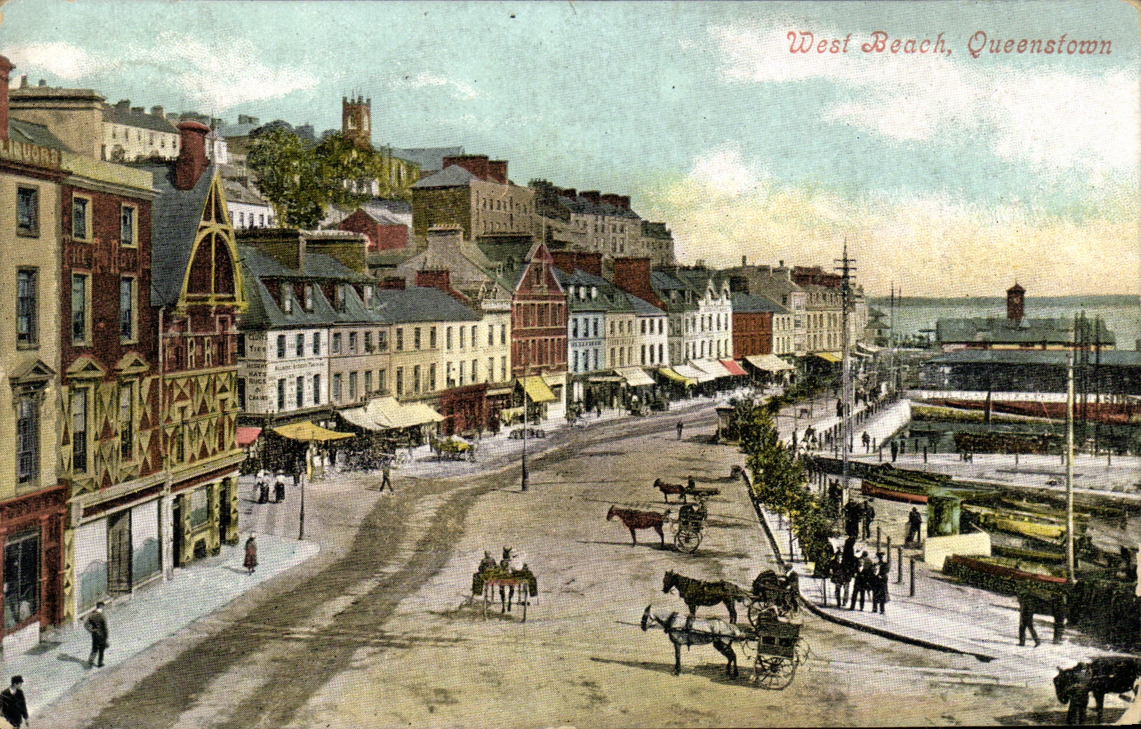 Playa del oeste Queenstown de la POSTAL de la VENDIMIA