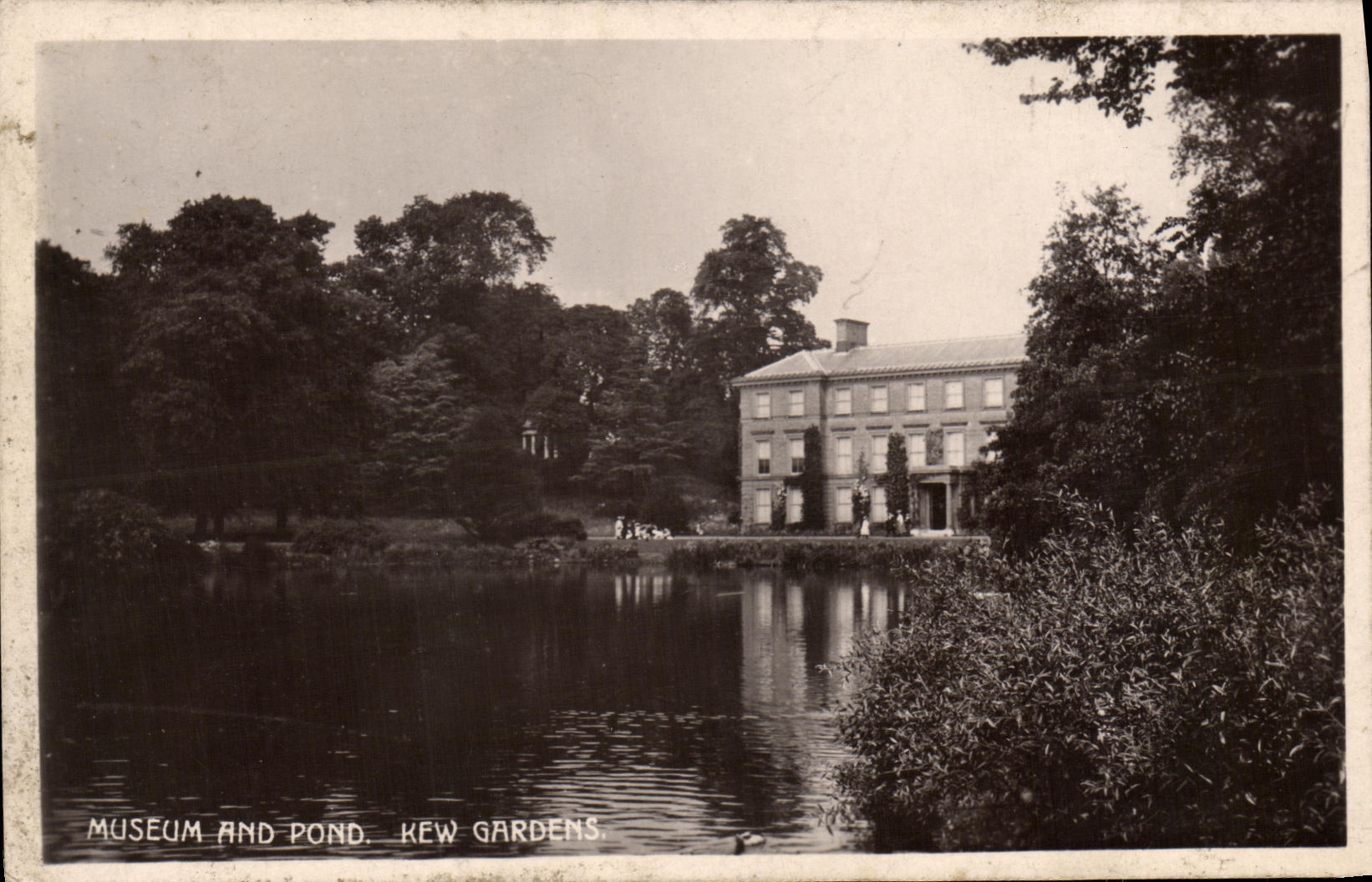 VINTAGE POSTCARD Museum and Lays Kew Gardens