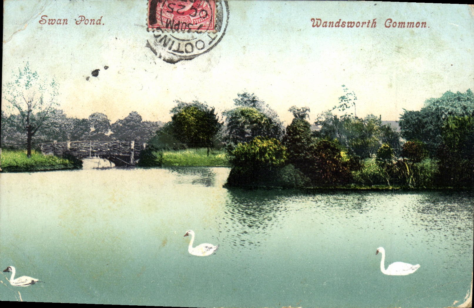 CPA Swan Pond Wandsworth Common
