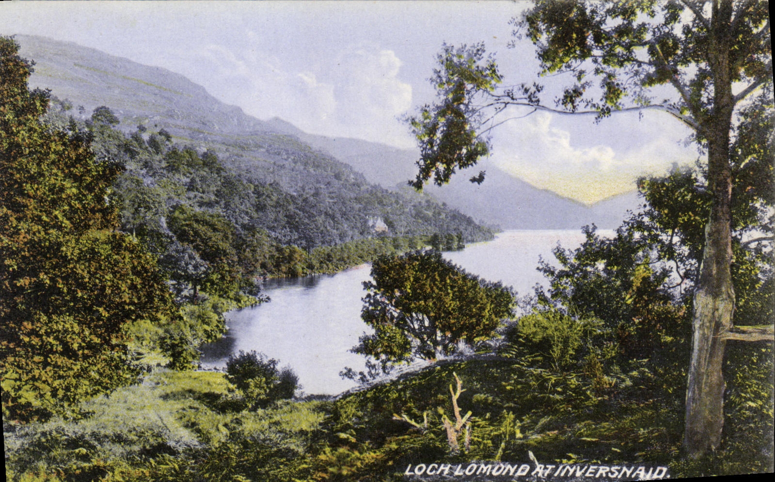 VINTAGE POSTCARD Log Lomond At Inversnaid
