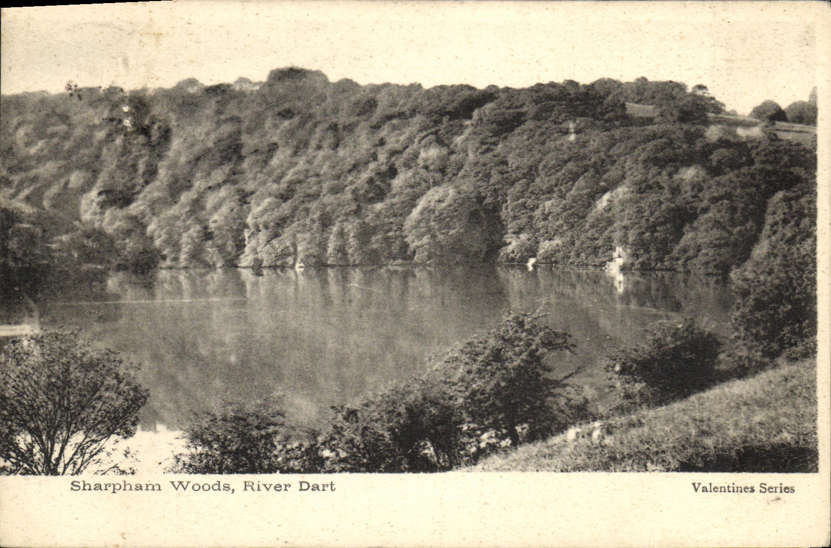 CPA Sharpham Woods River Dart