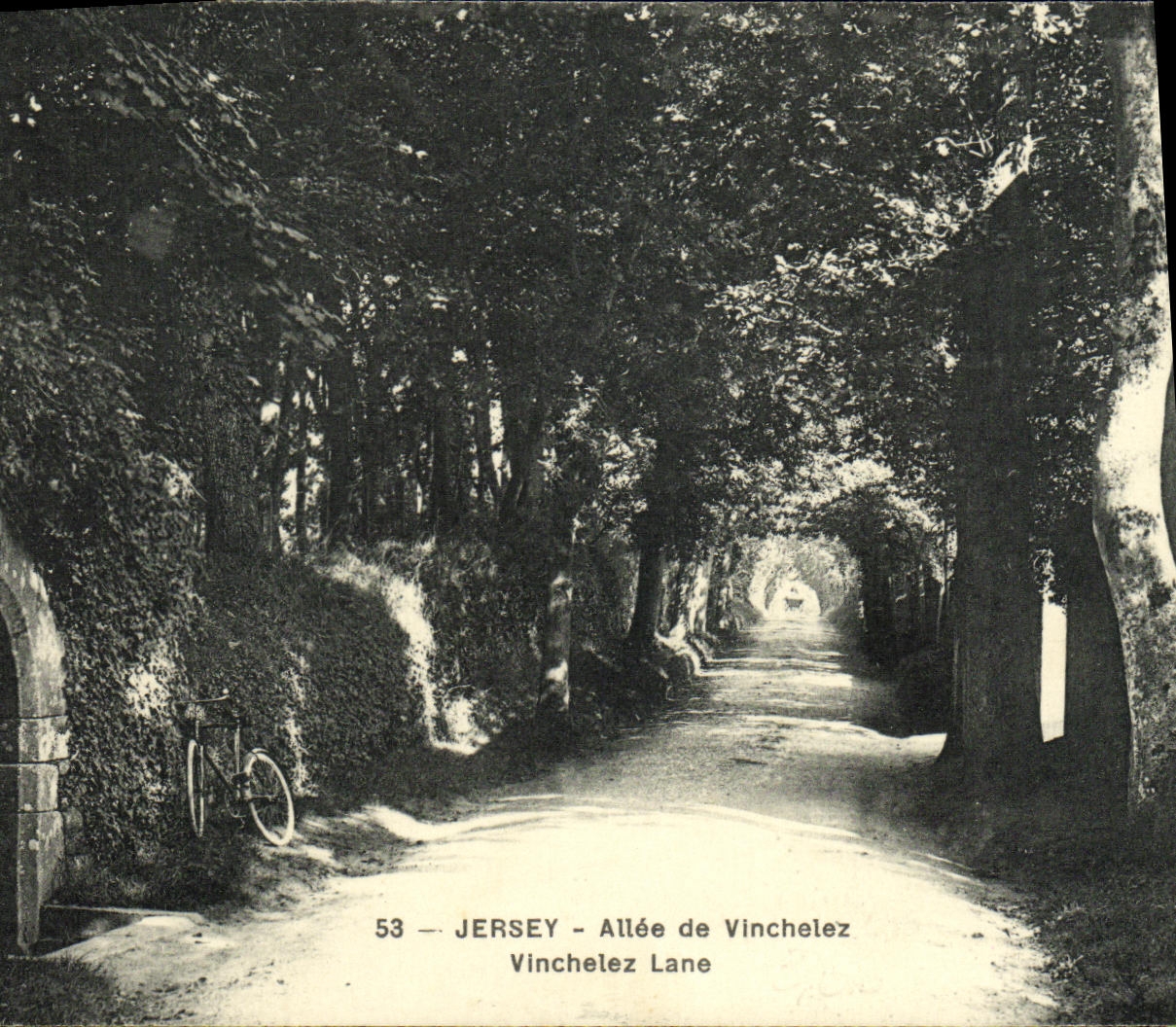 CPA Jersey Allee de Vinchelez 