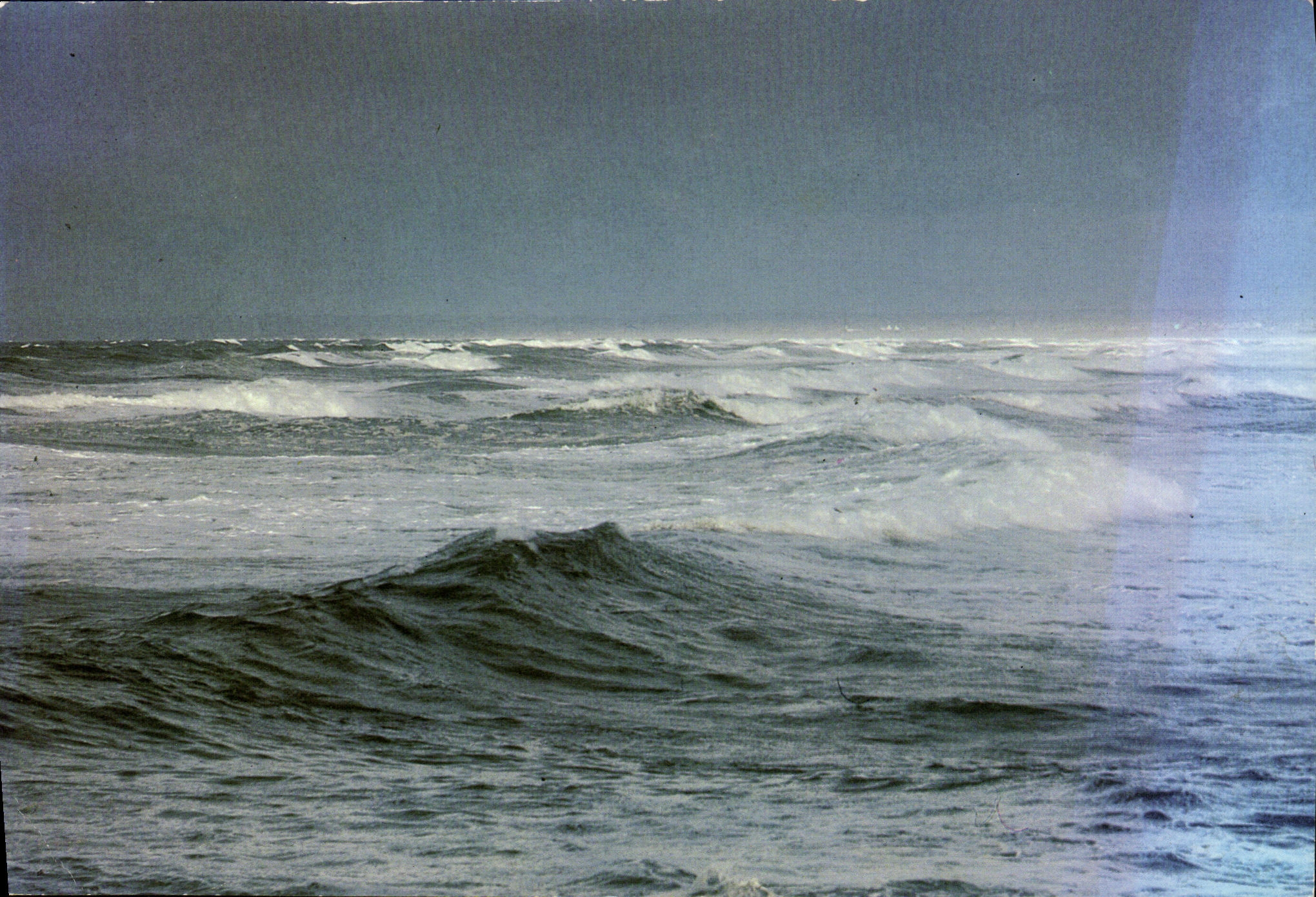 CPM Mer et Rivages De Robert Tixdor