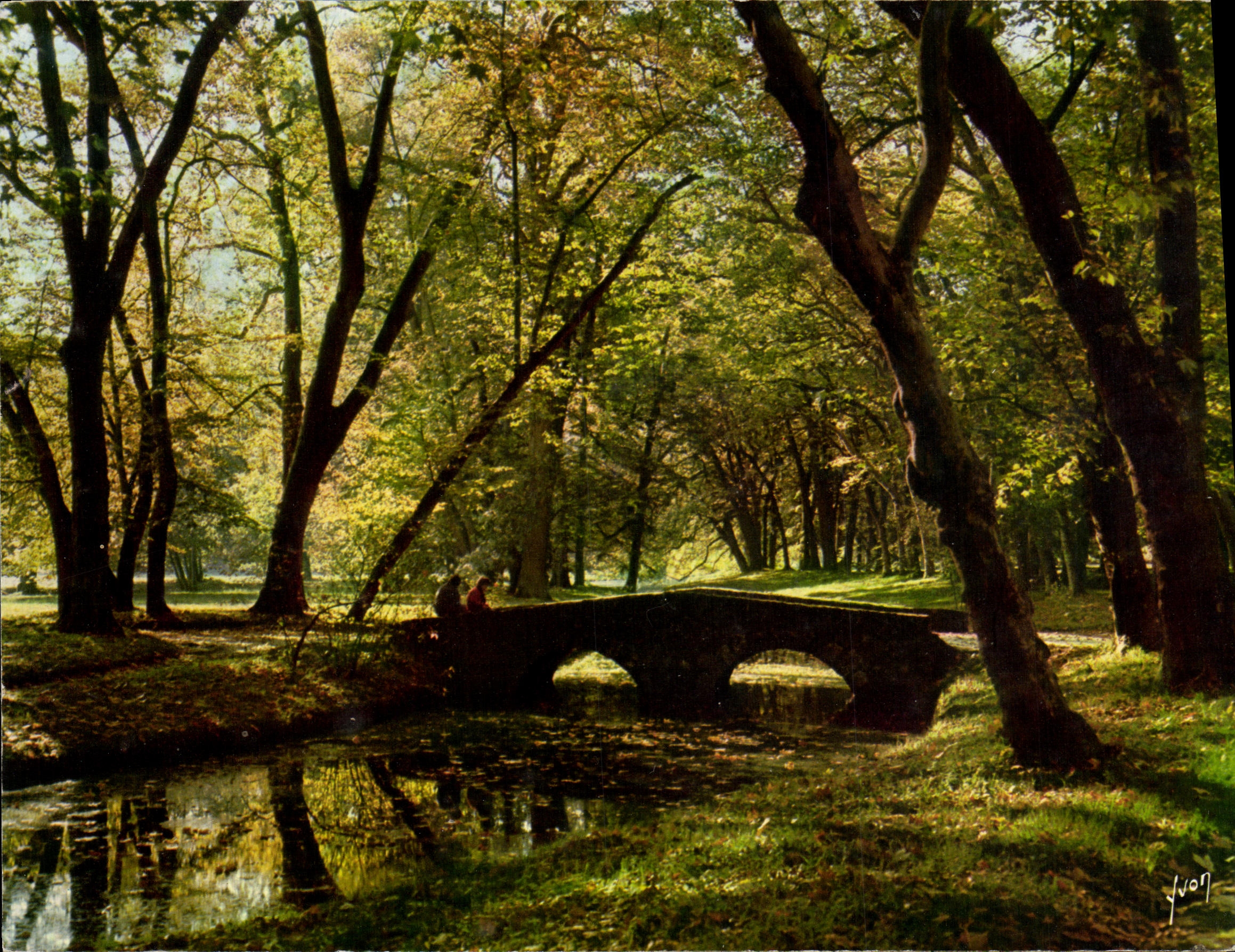 CPM Reliefs d automne 