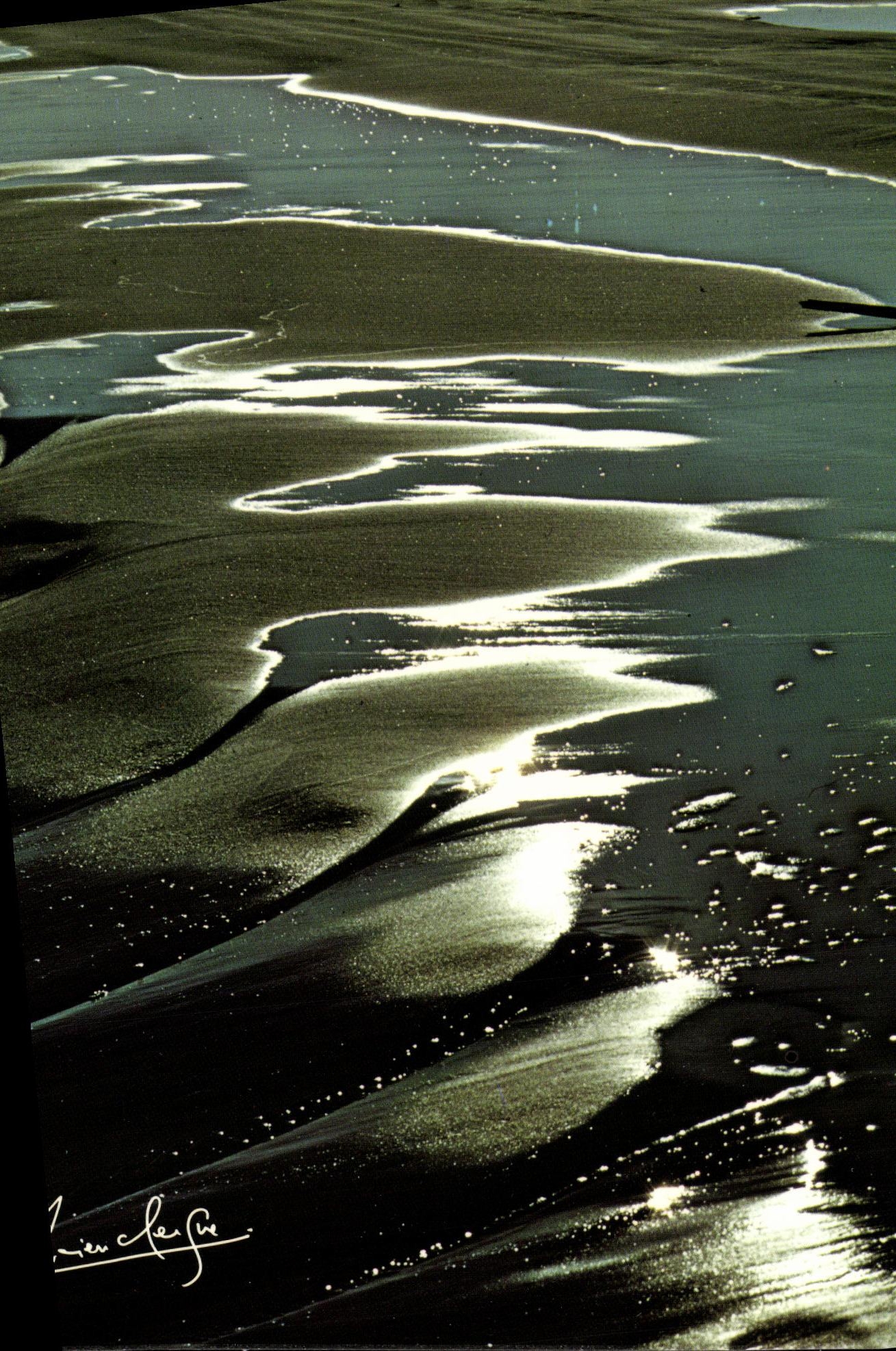 CPM plage de Camargue