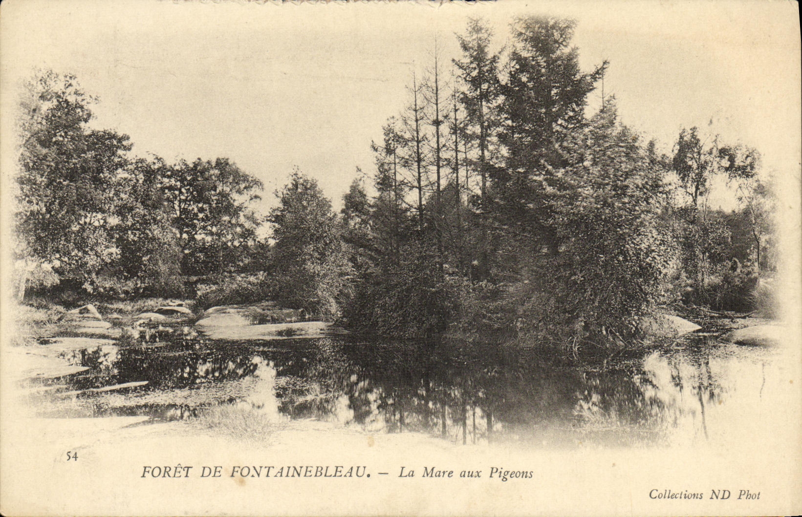 CPA Foret de Fontainbleau La Mare aux Pigeons