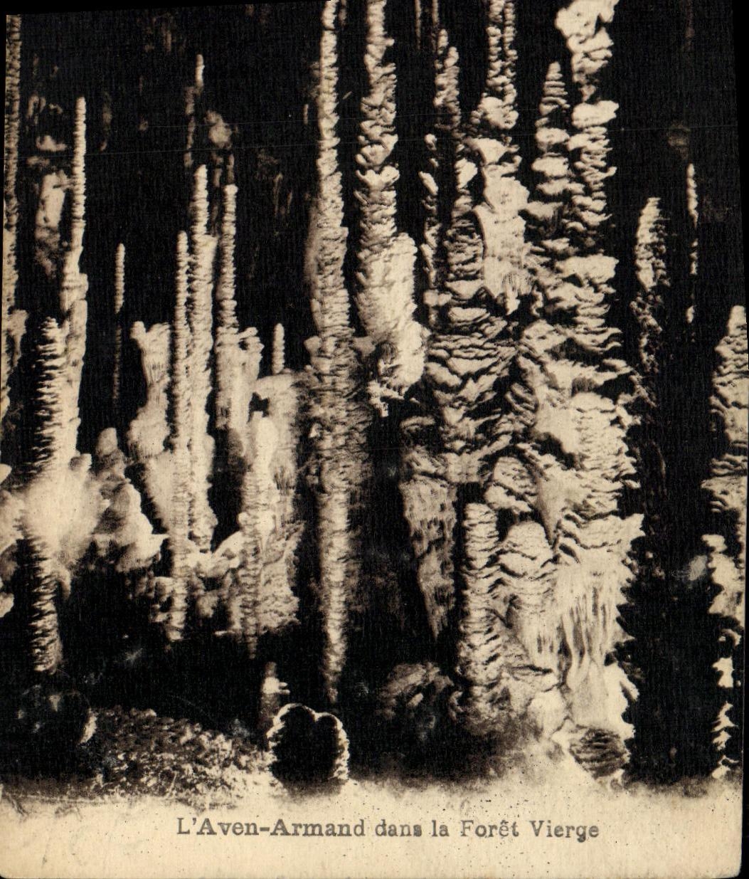 CPA L Aven Armand dans la Foret Vierge