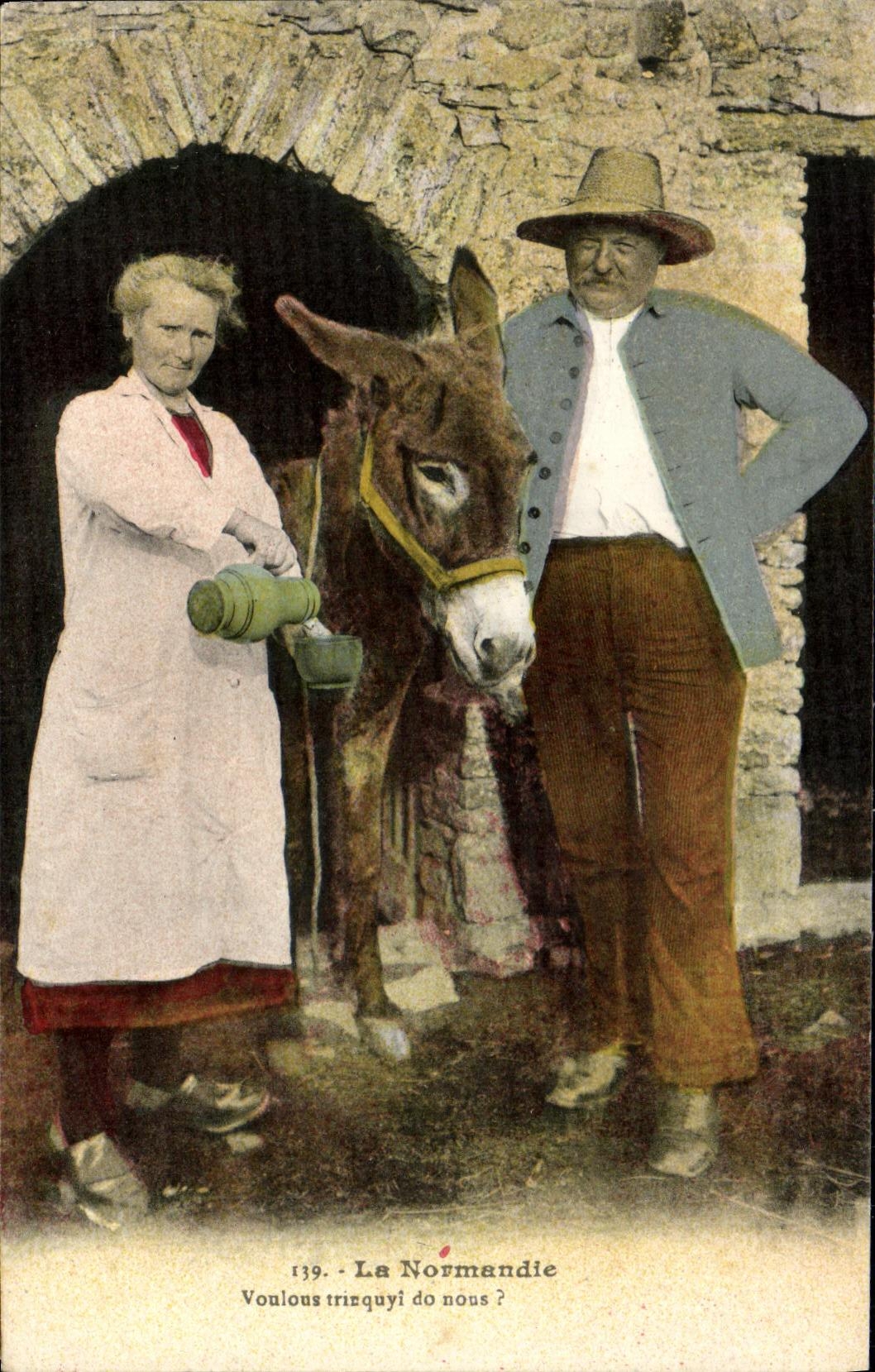 CPA Notre Normandie Ane Folklore Costume