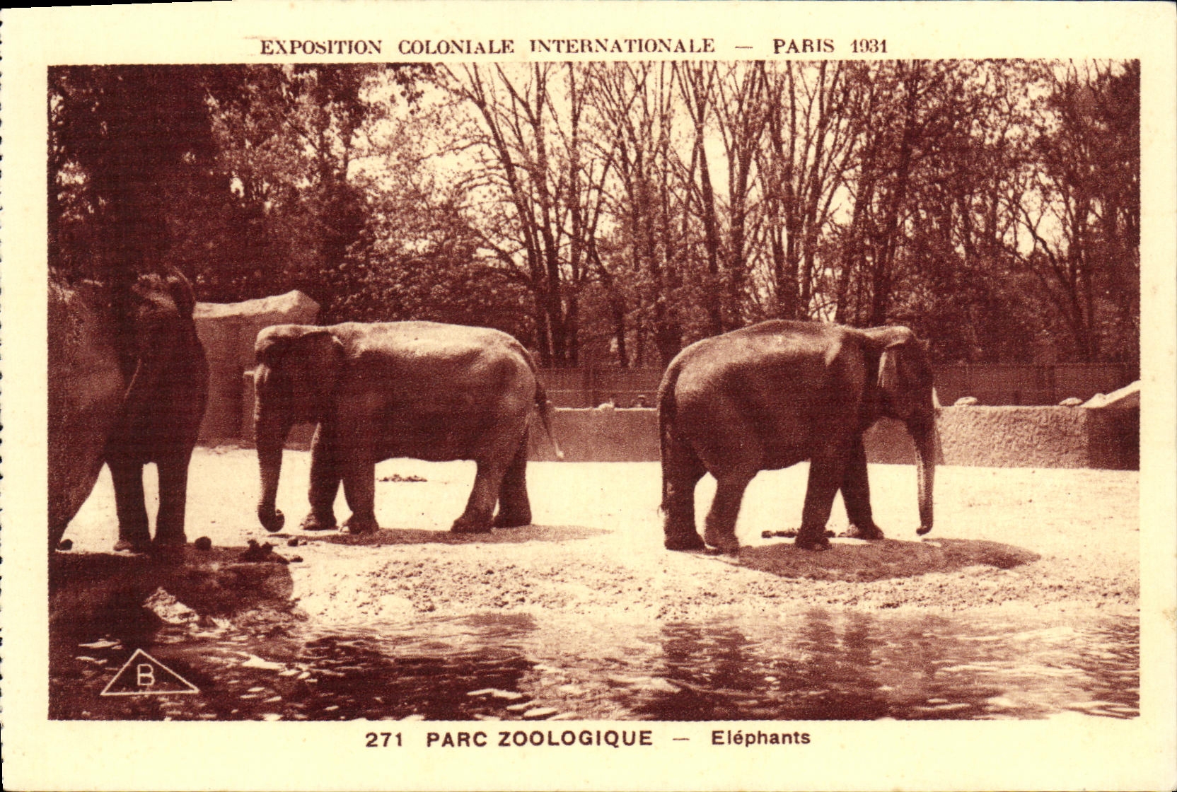 VINTAGE POSTCARD Fair Colonial International Paris Zoological gardens Elephants Zoo
