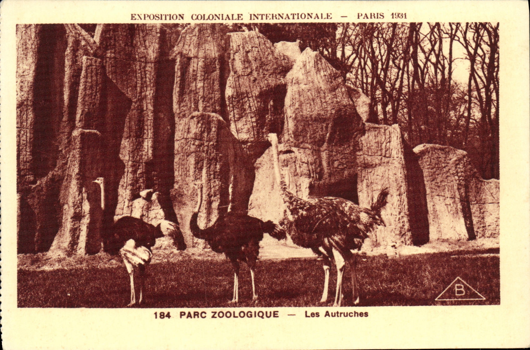 VINTAGE POSTCARD Fair Colonial International Paris Zoological gardens the Ostriches Zoo