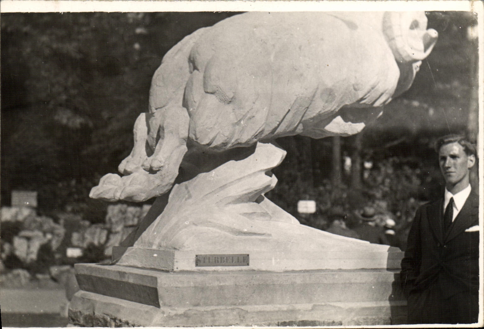 CARTE PHOTO Statue Sturbelle