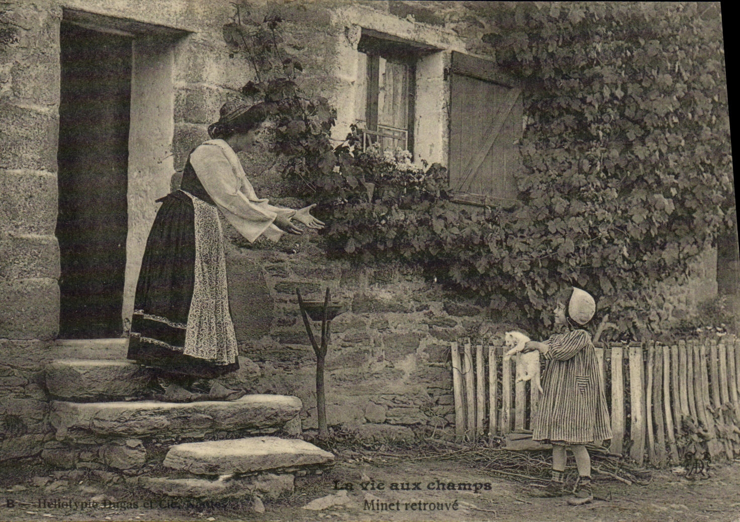 VINTAGE POSTCARD Country life Pussy finds Chat Kitten