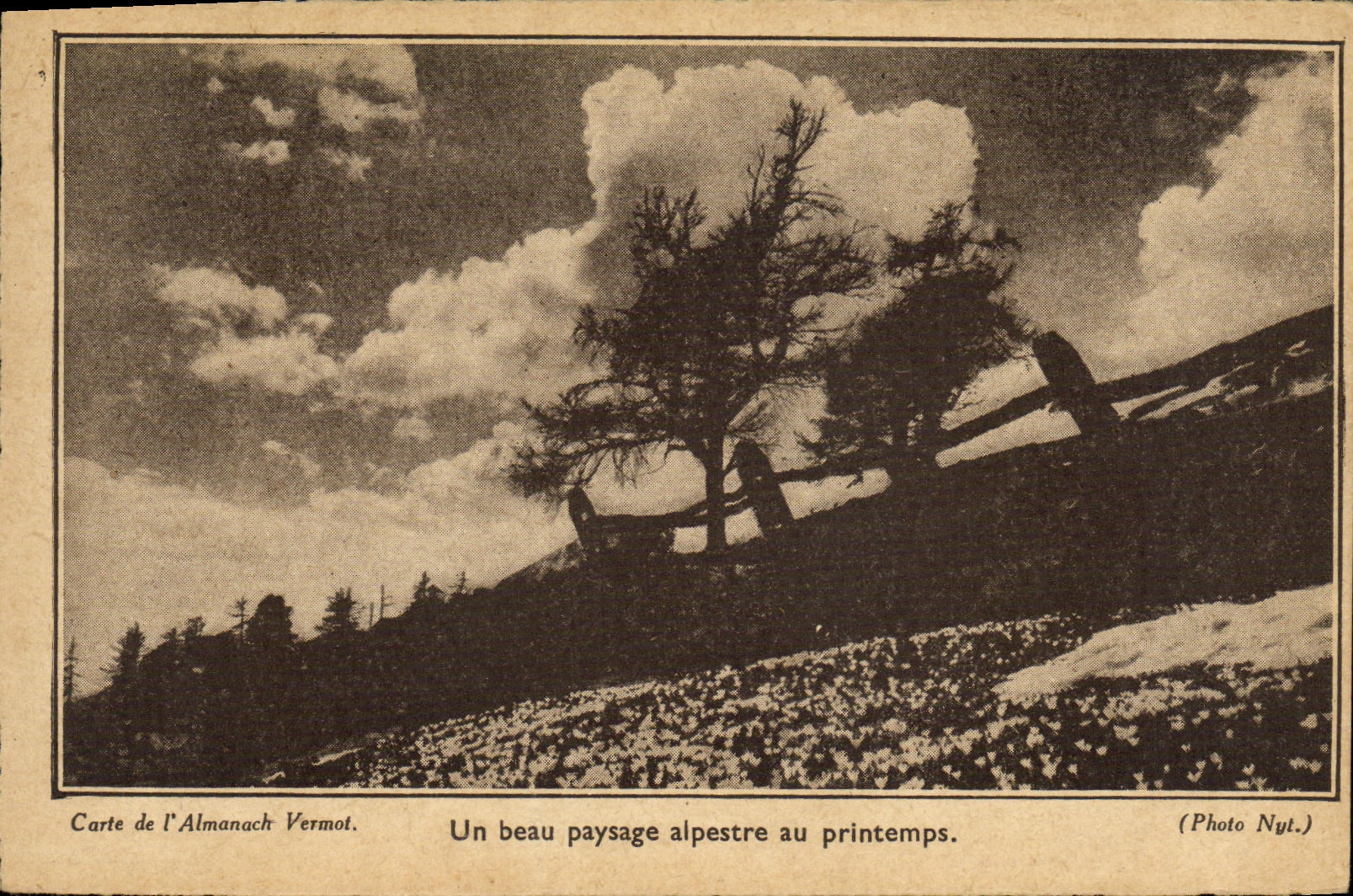 CPA Un beau Paysage alpestre au printemps