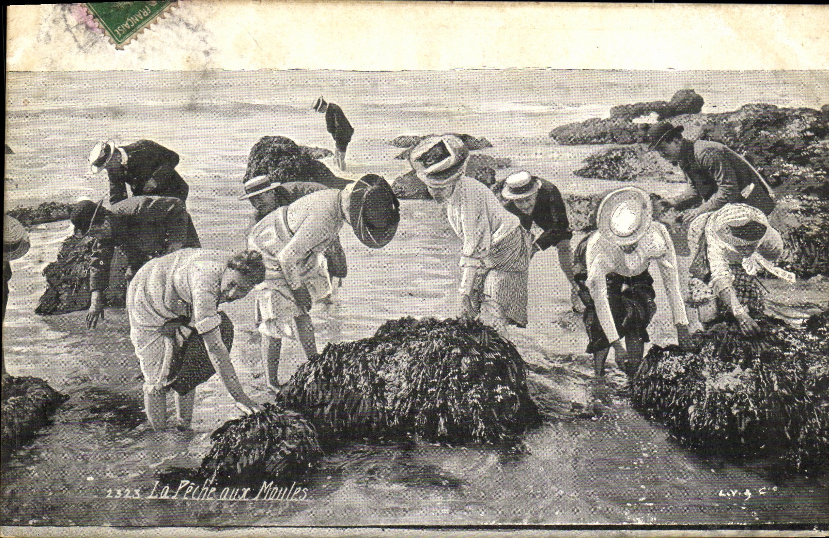 VINTAGE POSTCARD Fishing with the Moulds