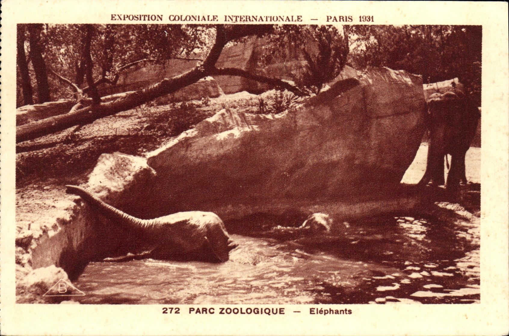 VINTAGE POSTCARD Fair Colonial International 1931 Paris Zoological gardens Elephants