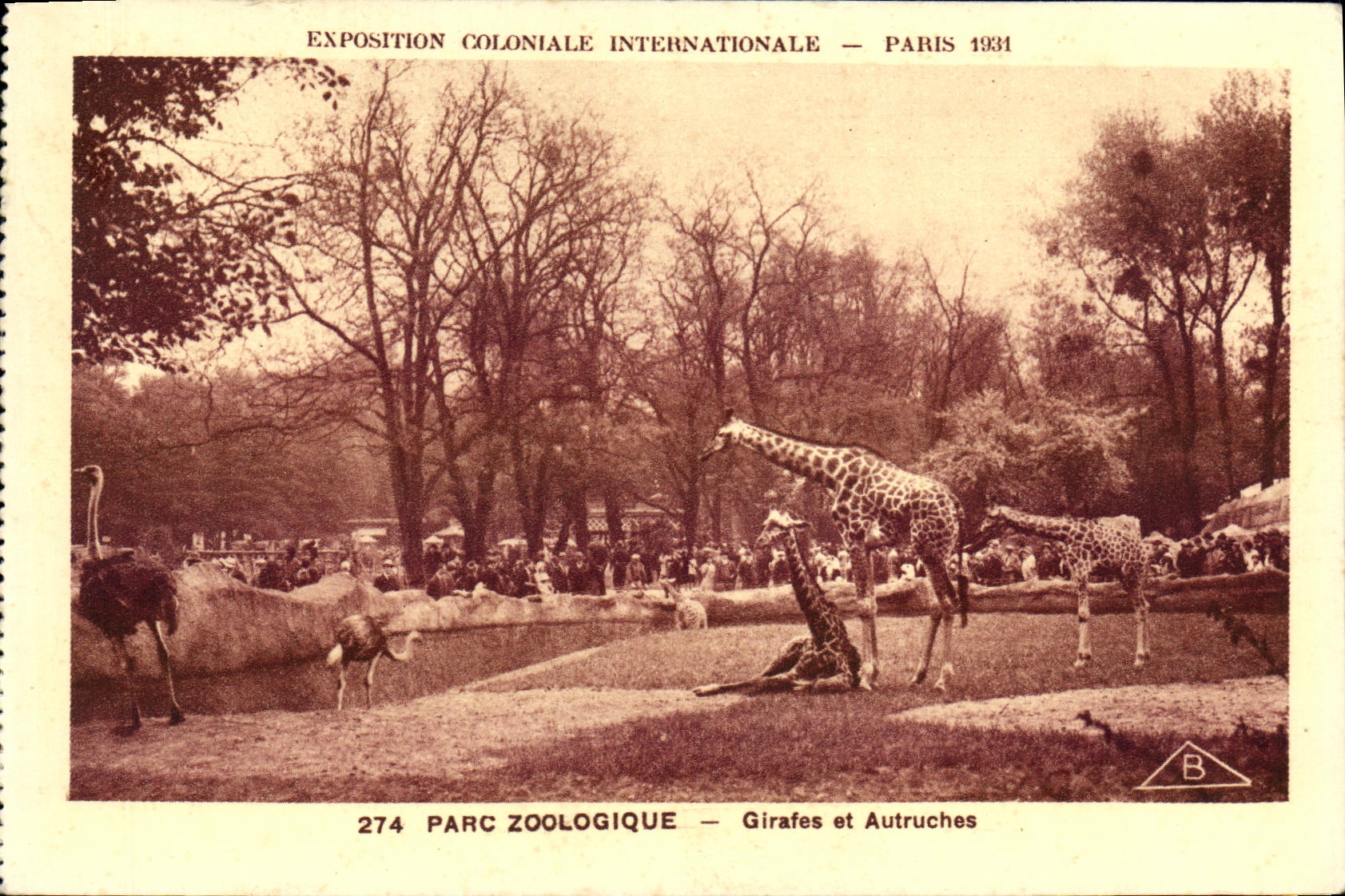 POSTAL favorablemente Paris internacional colonial de la VENDIMIA 1931 jirafas y avestruces de los jardines zoologicos