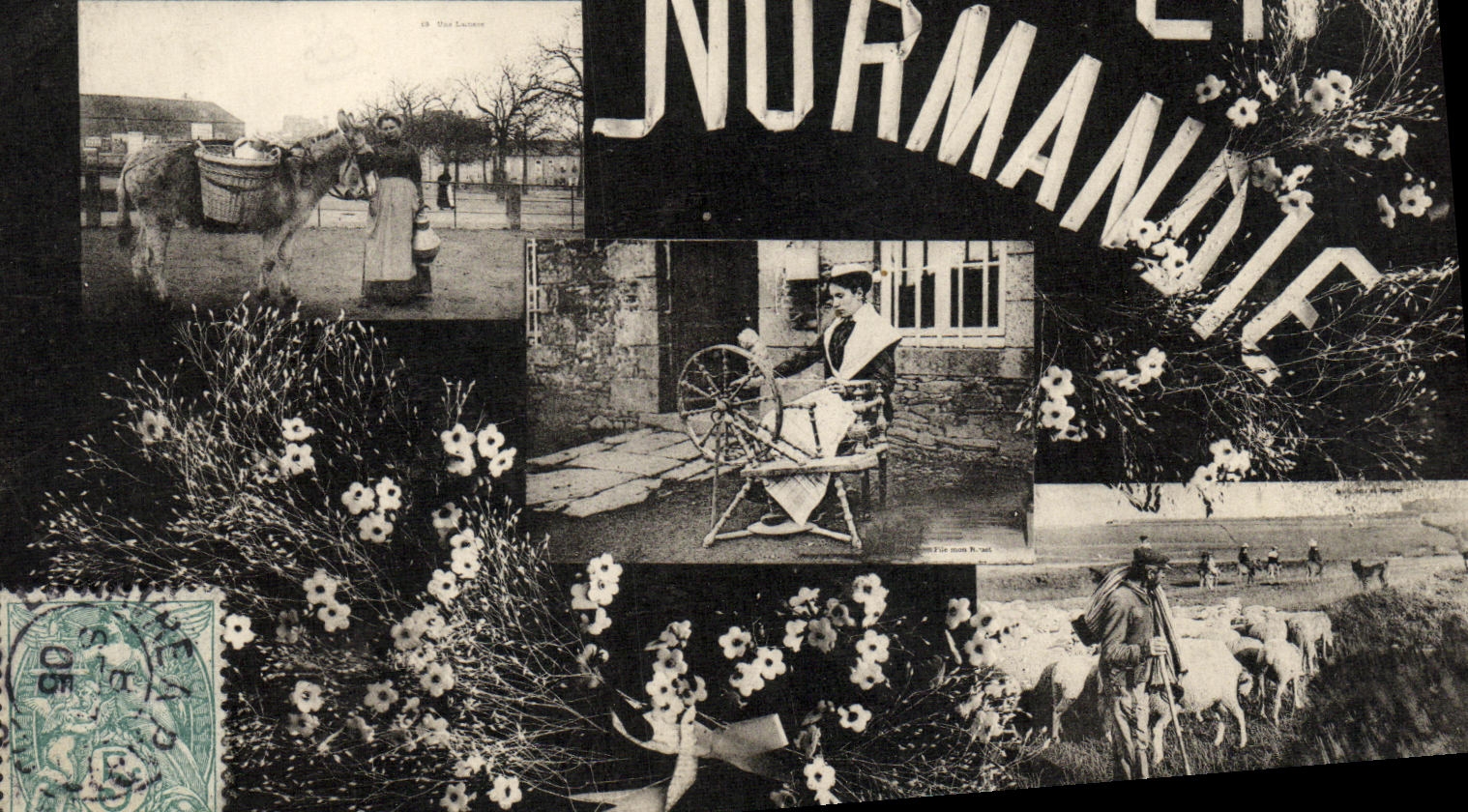 CPA En Normandie Folklore Berger et moutons Fileuse Ane 