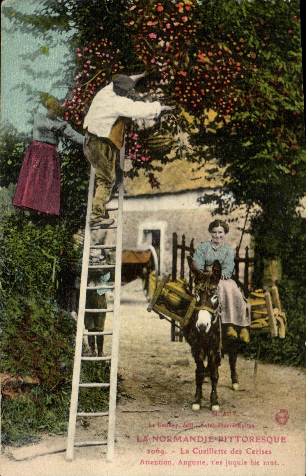 CPA La Normandie Pittoresque La cueillette des cerises Folklore Ane 