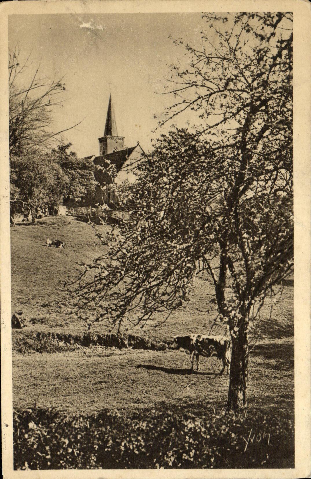 POSTAL Normandia Payage de la VENDIMIA del normando de Suiza