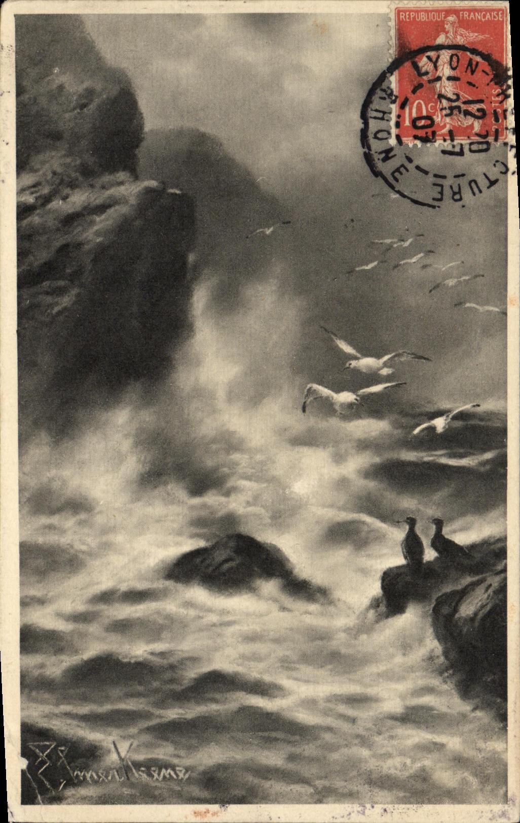 VINTAGE POSTCARD Birds Gulls