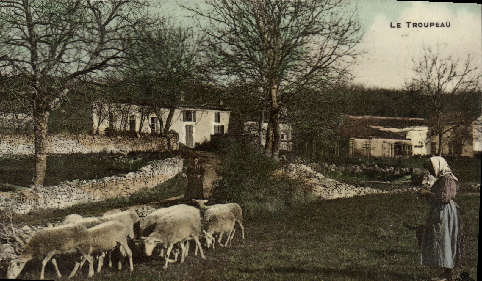 VINTAGE POSTCARD the Herd Peasants Folklore Shepherd Sheep