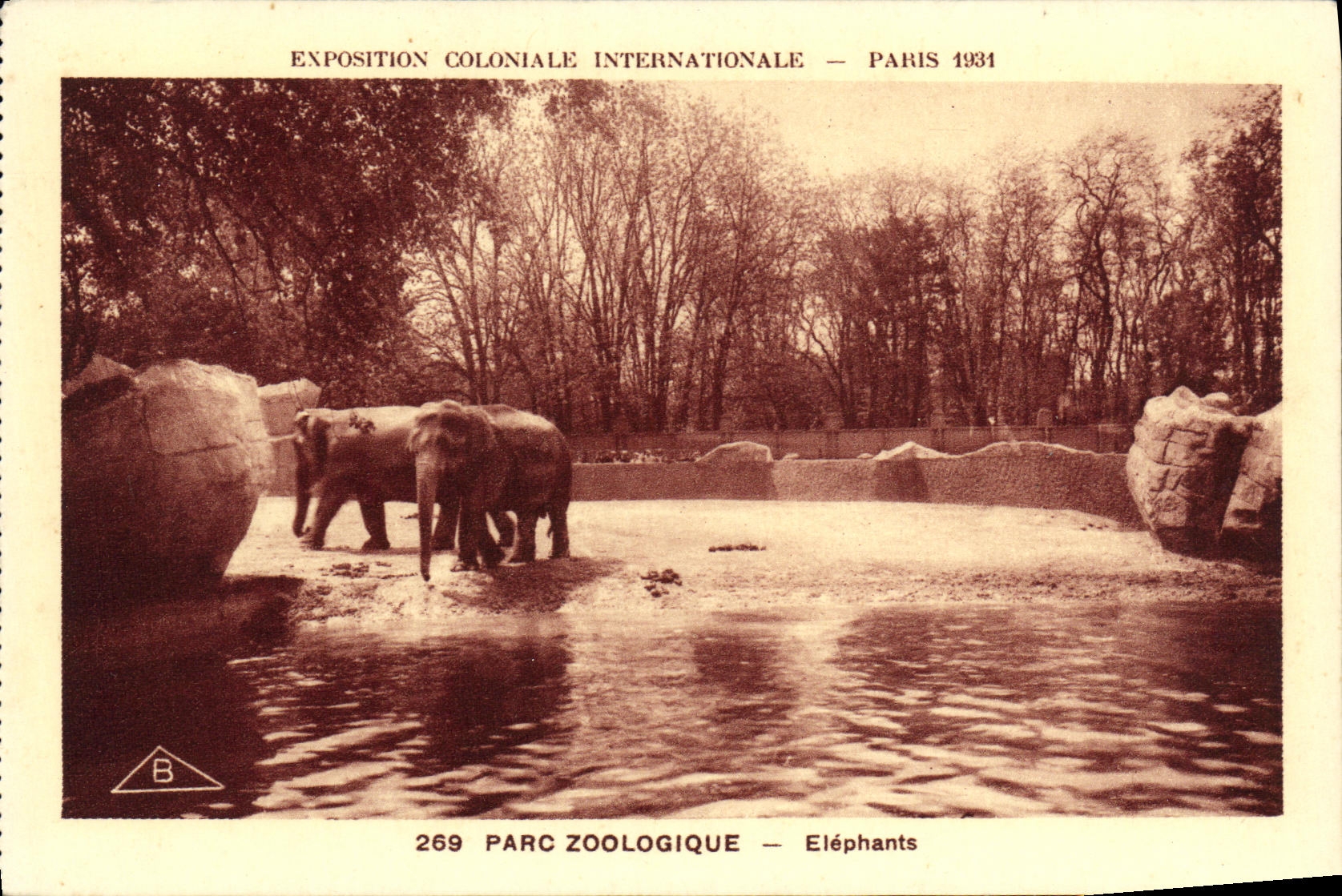 CPA Exposition Coloniale Internationale Paris Parc Zoologique Elephants