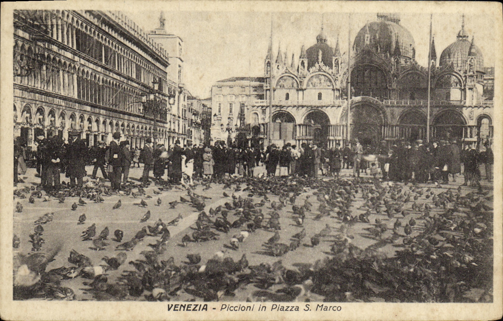 VINTAGE POSTCARD Venezia Piccioni in Piazza di S Marco