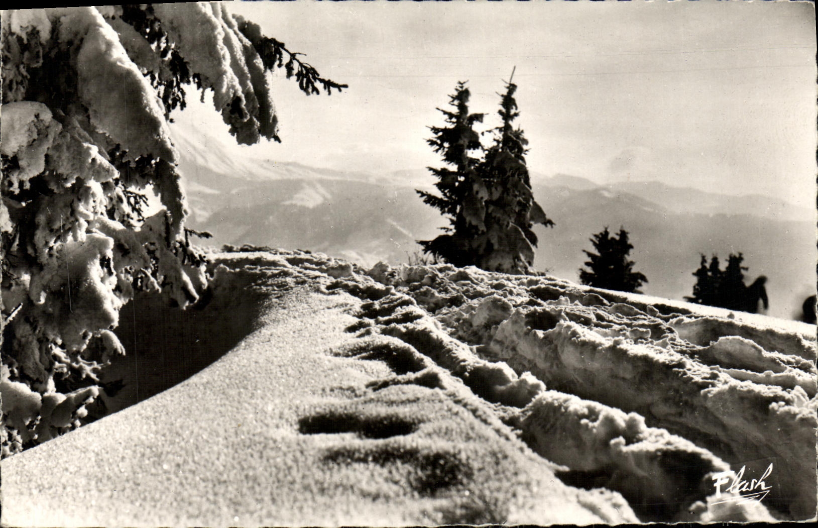 CPM Cristaux De Neige