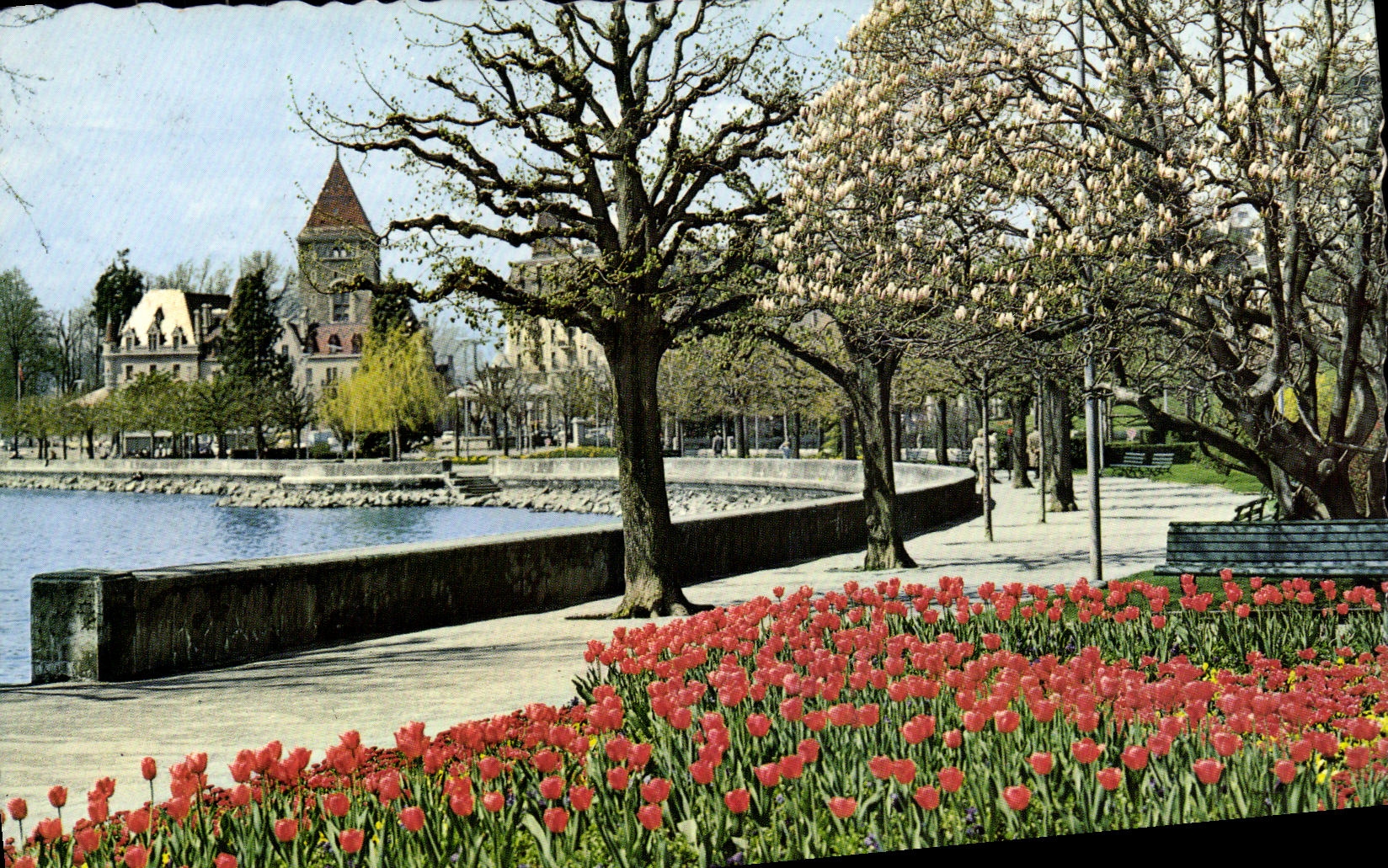MODERN CARD Lausanne Ouchy the Flowered Castle and Quays