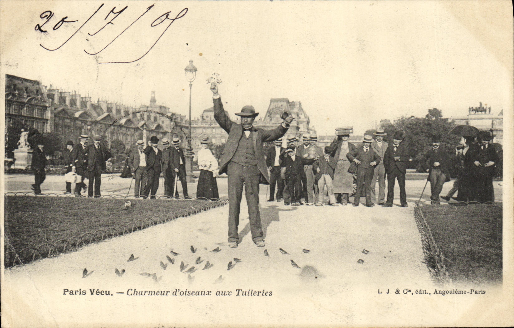 VINTAGE POSTCARD Charmer D birds with Paris Tileries