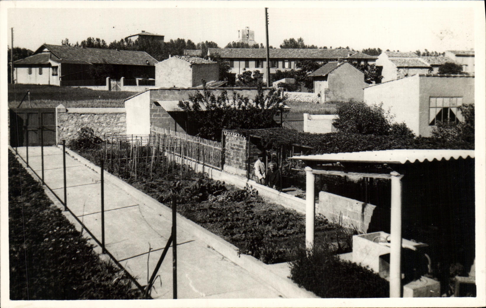 MODERN CARD Garden in a village