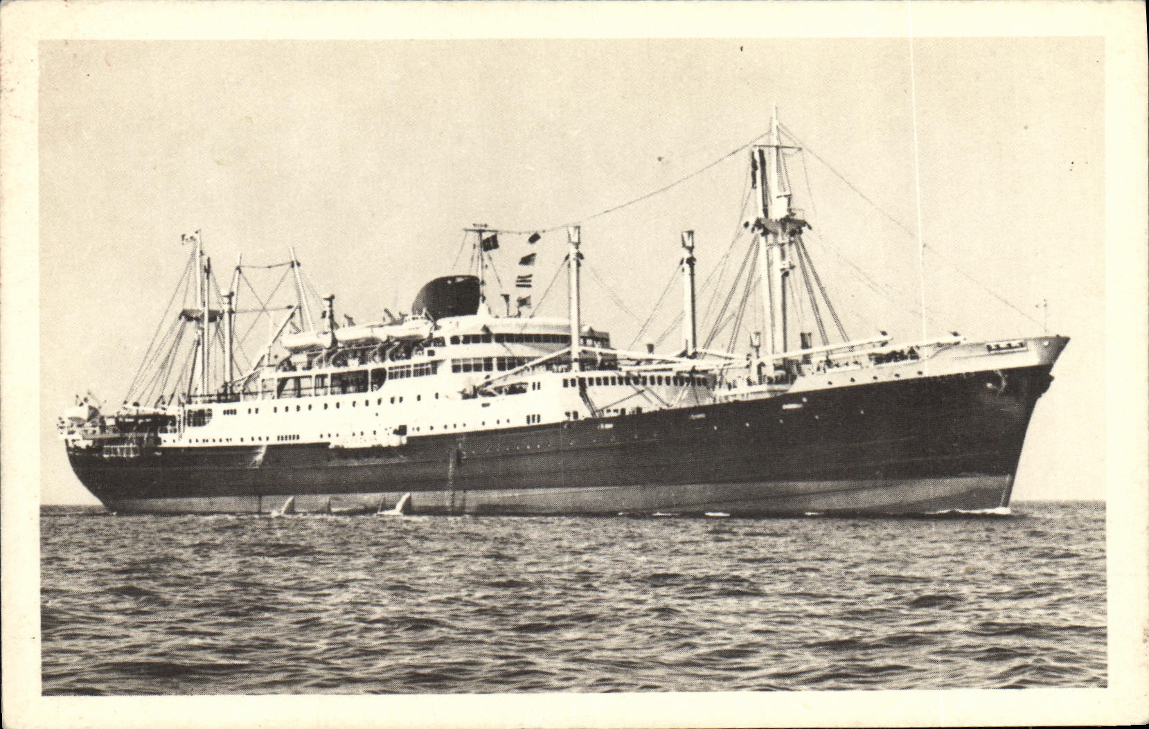 CPA Bateau Caledonien Tahitien Compagnie des Messageries maritimes Tahiti Paquebots