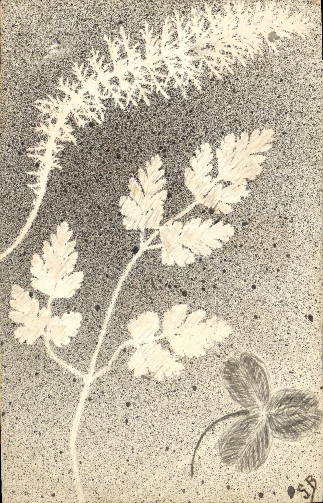 CPA Fantaisie Fleurs 